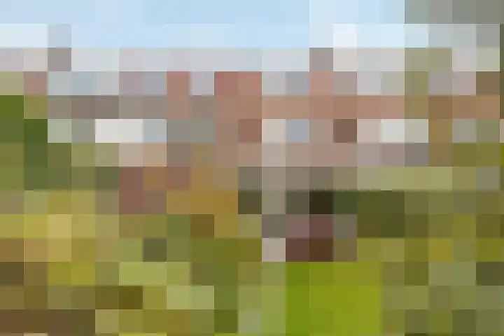 Palestrinastraat 5 Arnhem thumbnail 33