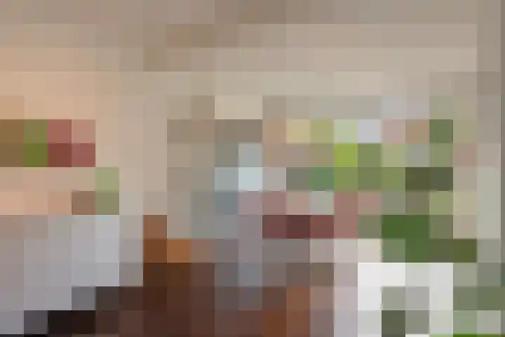 Palestrinastraat 5 Arnhem thumbnail 7