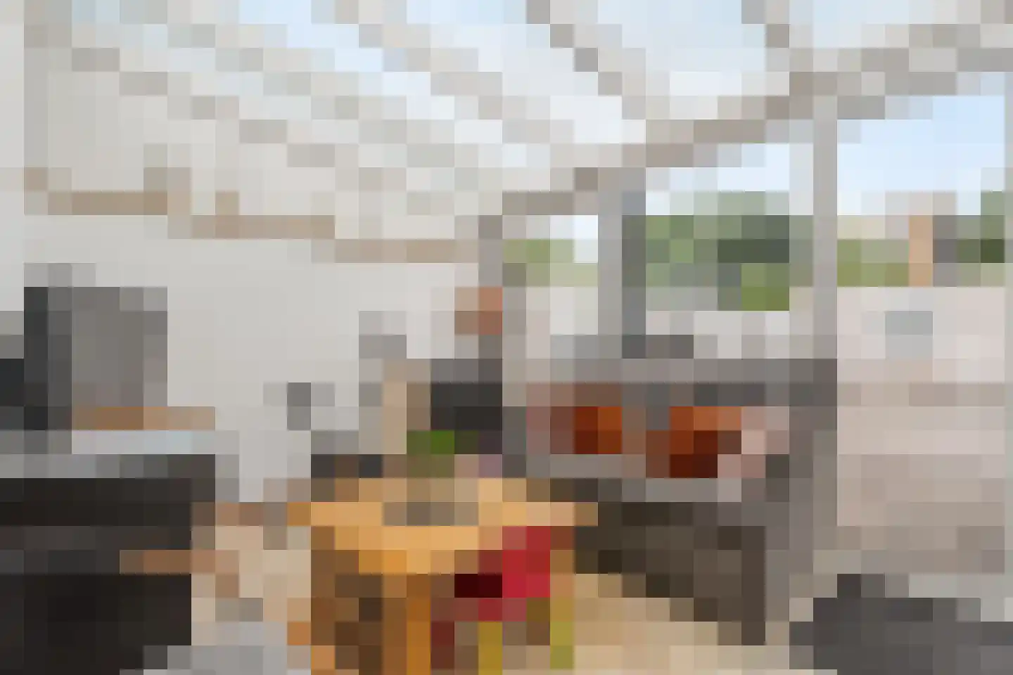 Palestrinastraat 6 Tilburg thumbnail 11