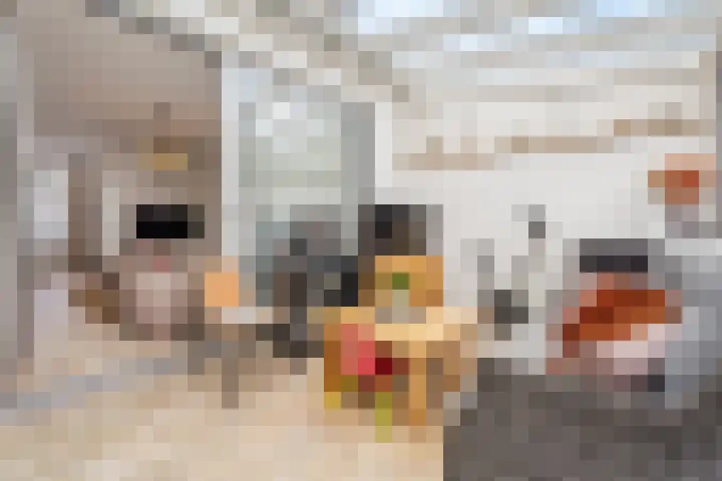 Palestrinastraat 6 Tilburg thumbnail 12
