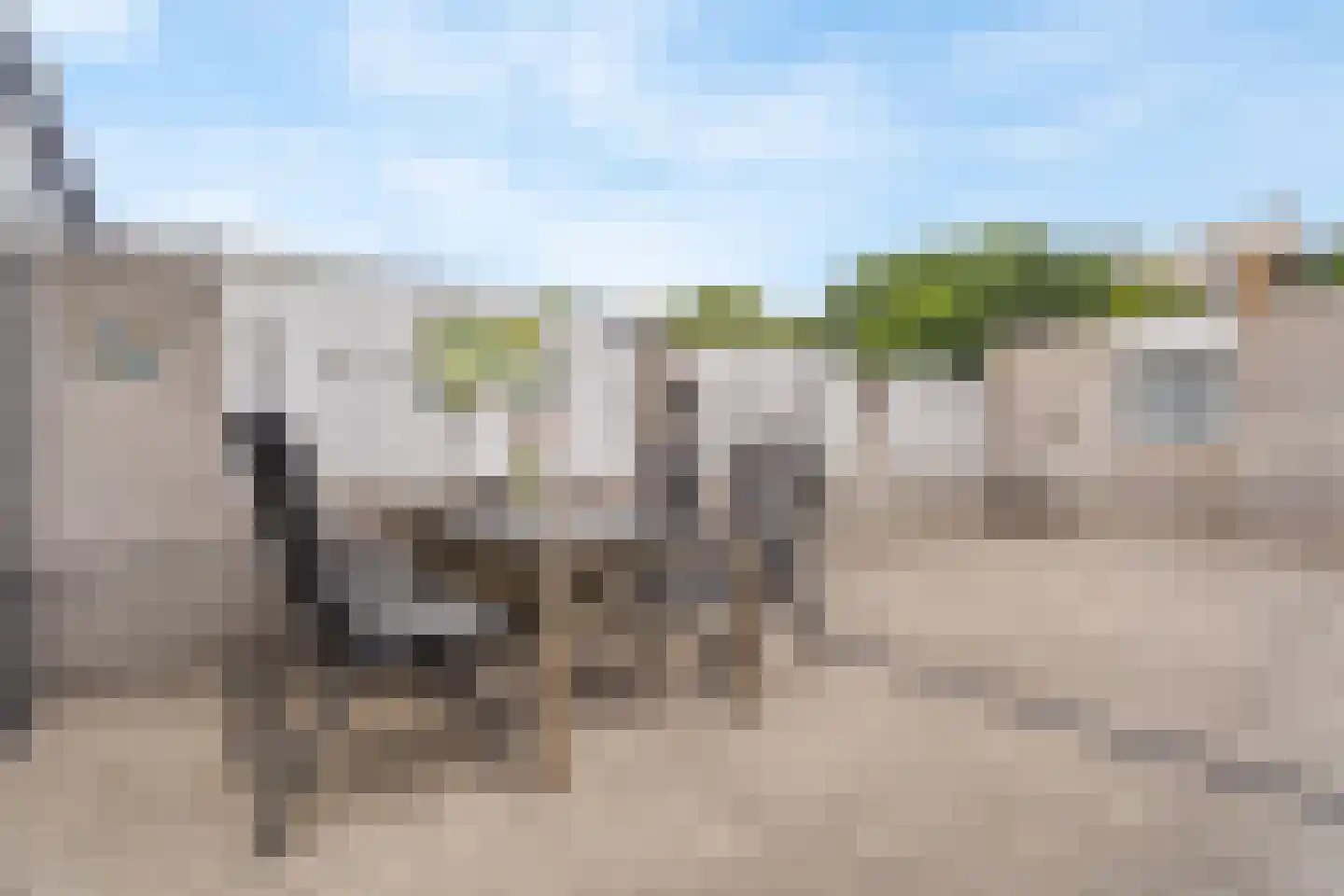 Palestrinastraat 6 Tilburg thumbnail 22