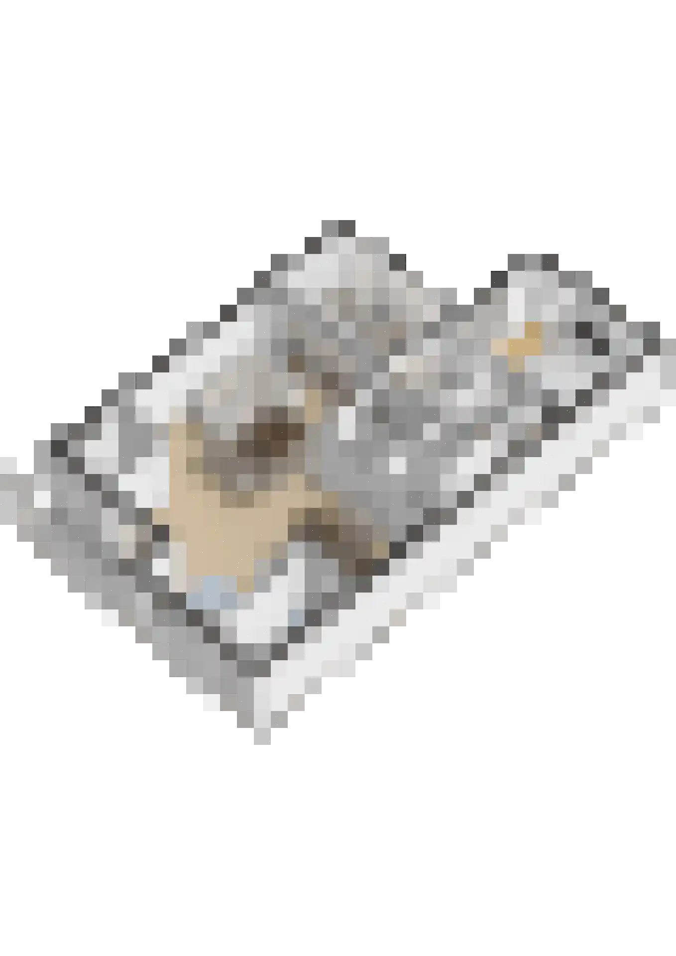 Palestrinastraat 6 Tilburg thumbnail 30