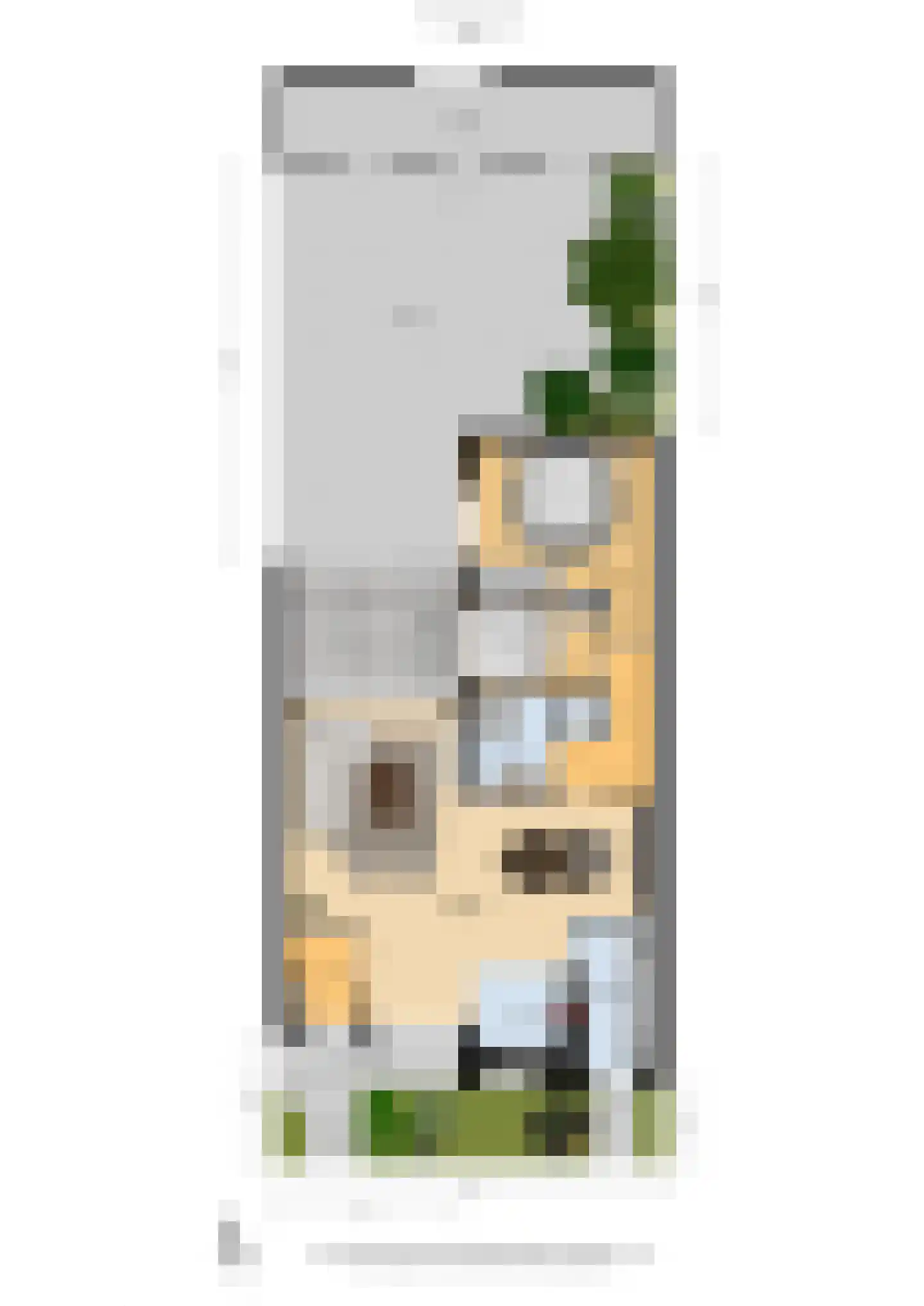 Palestrinastraat 6 Tilburg thumbnail 33