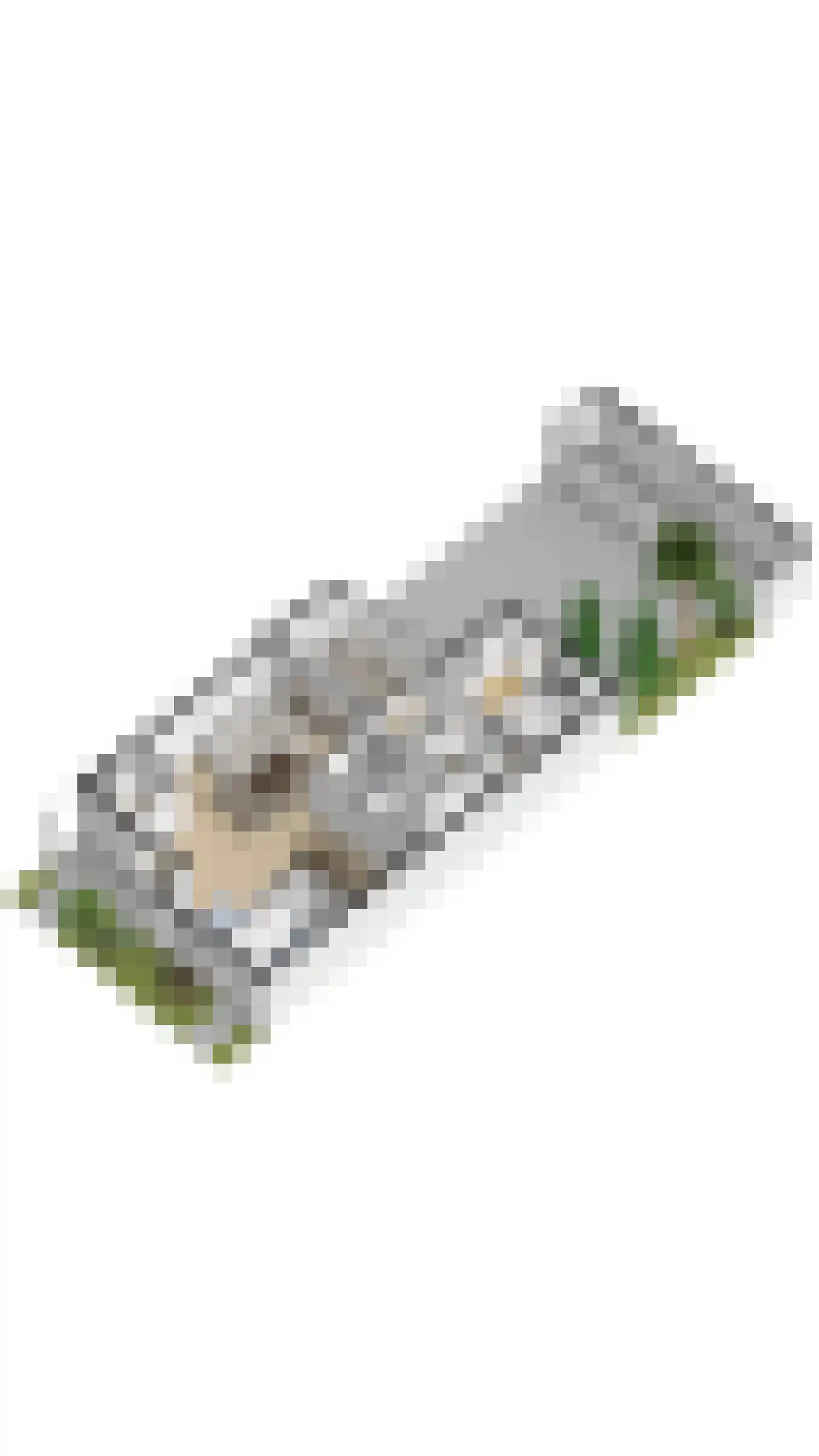 Palestrinastraat 6 Tilburg thumbnail 34