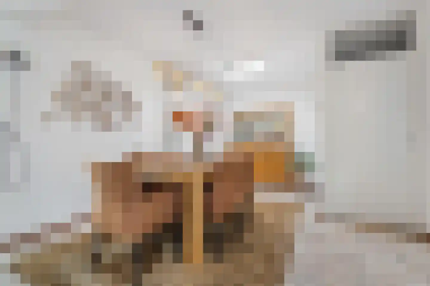 Palestrinastraat 6 Tilburg thumbnail 5
