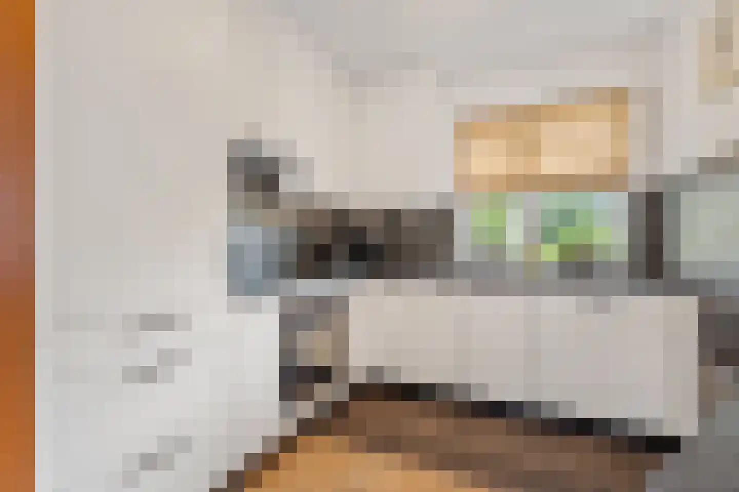 Palestrinastraat 6 Tilburg thumbnail 8