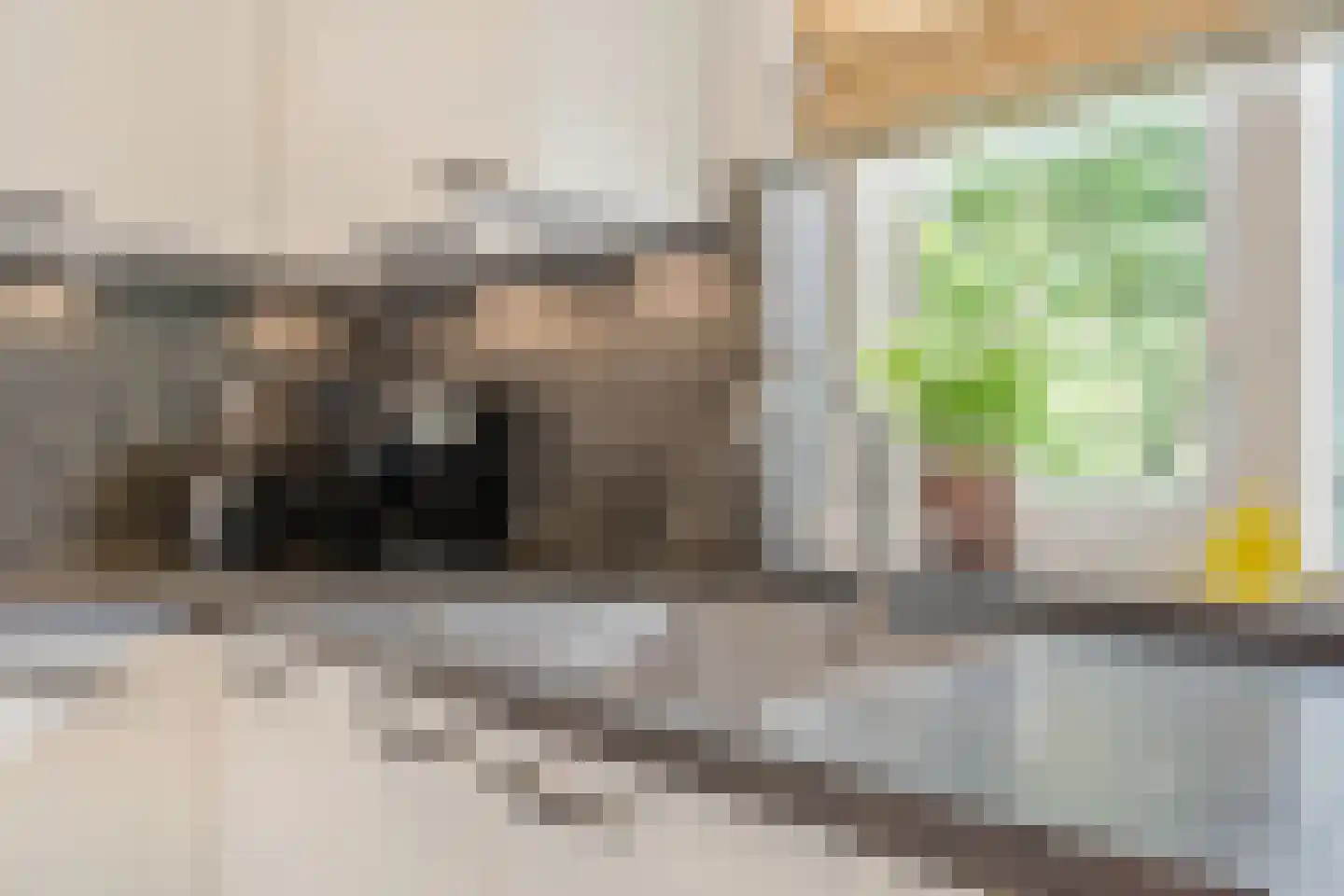 Palestrinastraat 6 Tilburg thumbnail 9