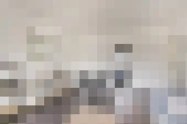 Palestrinastraat 62 Hengelo thumbnail 13