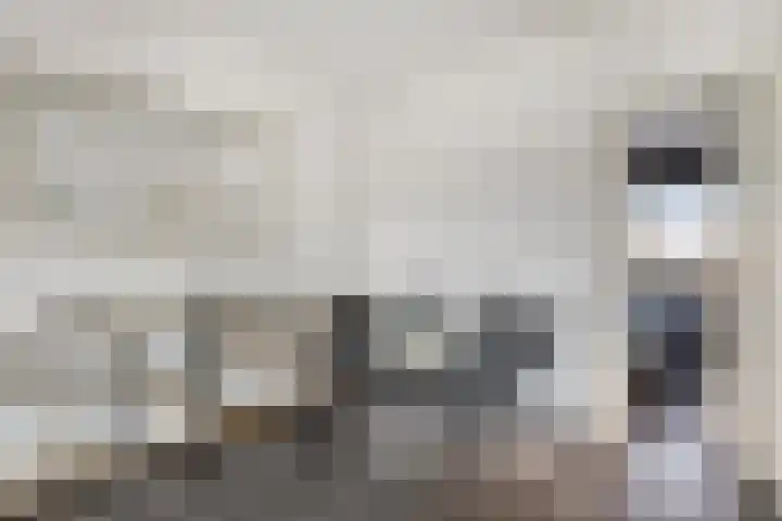 Palestrinastraat 62 Hengelo thumbnail 14
