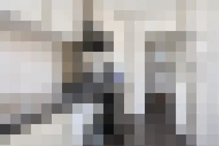 Palestrinastraat 62 Hengelo thumbnail 15