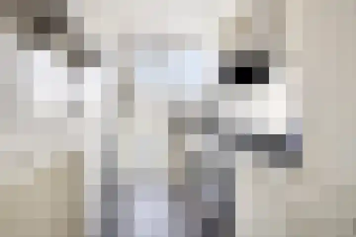Palestrinastraat 62 Hengelo thumbnail 16