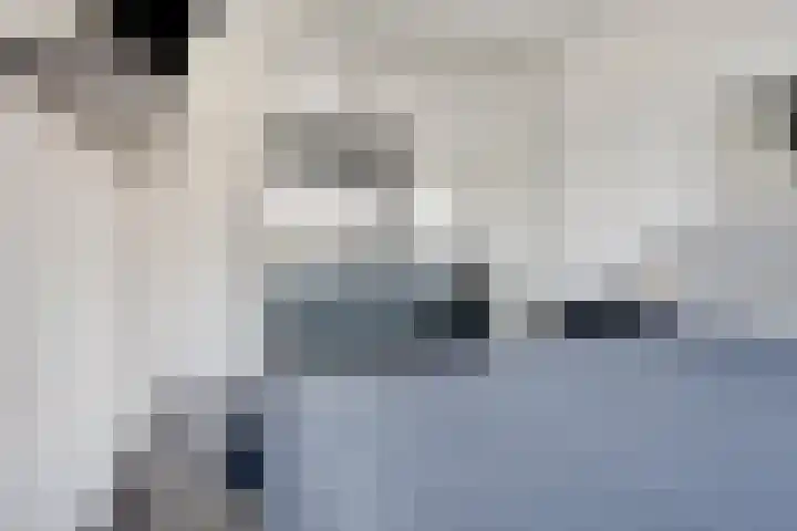 Palestrinastraat 62 Hengelo thumbnail 19