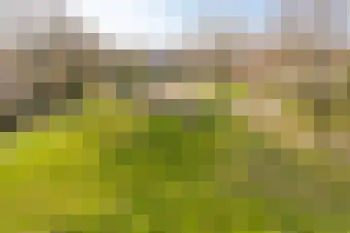Palestrinastraat 62 Hengelo thumbnail 26