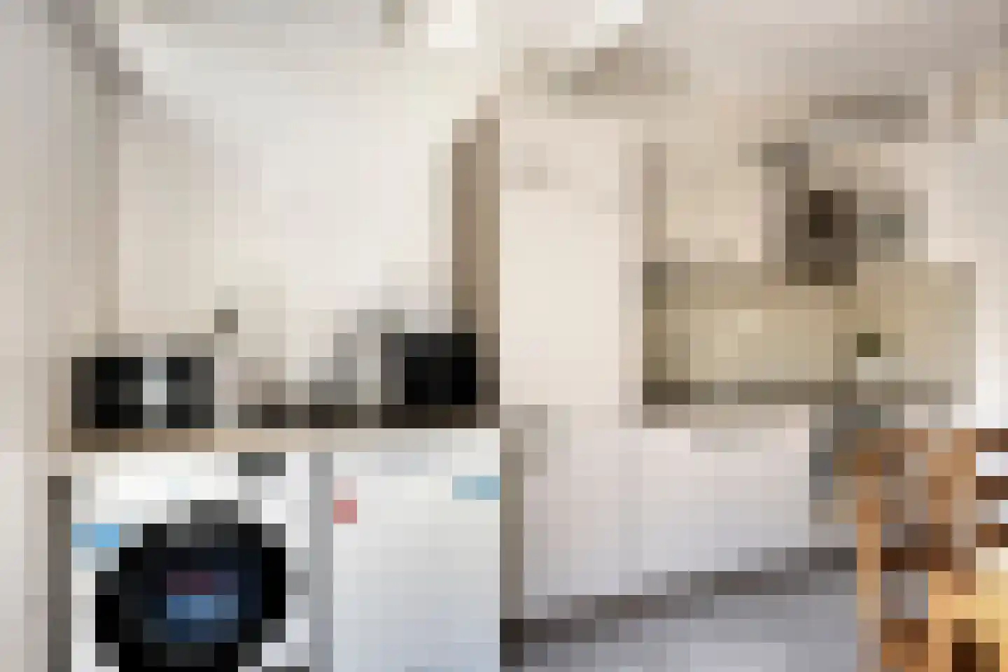 Palestrinastraat 68 Hengelo thumbnail 13