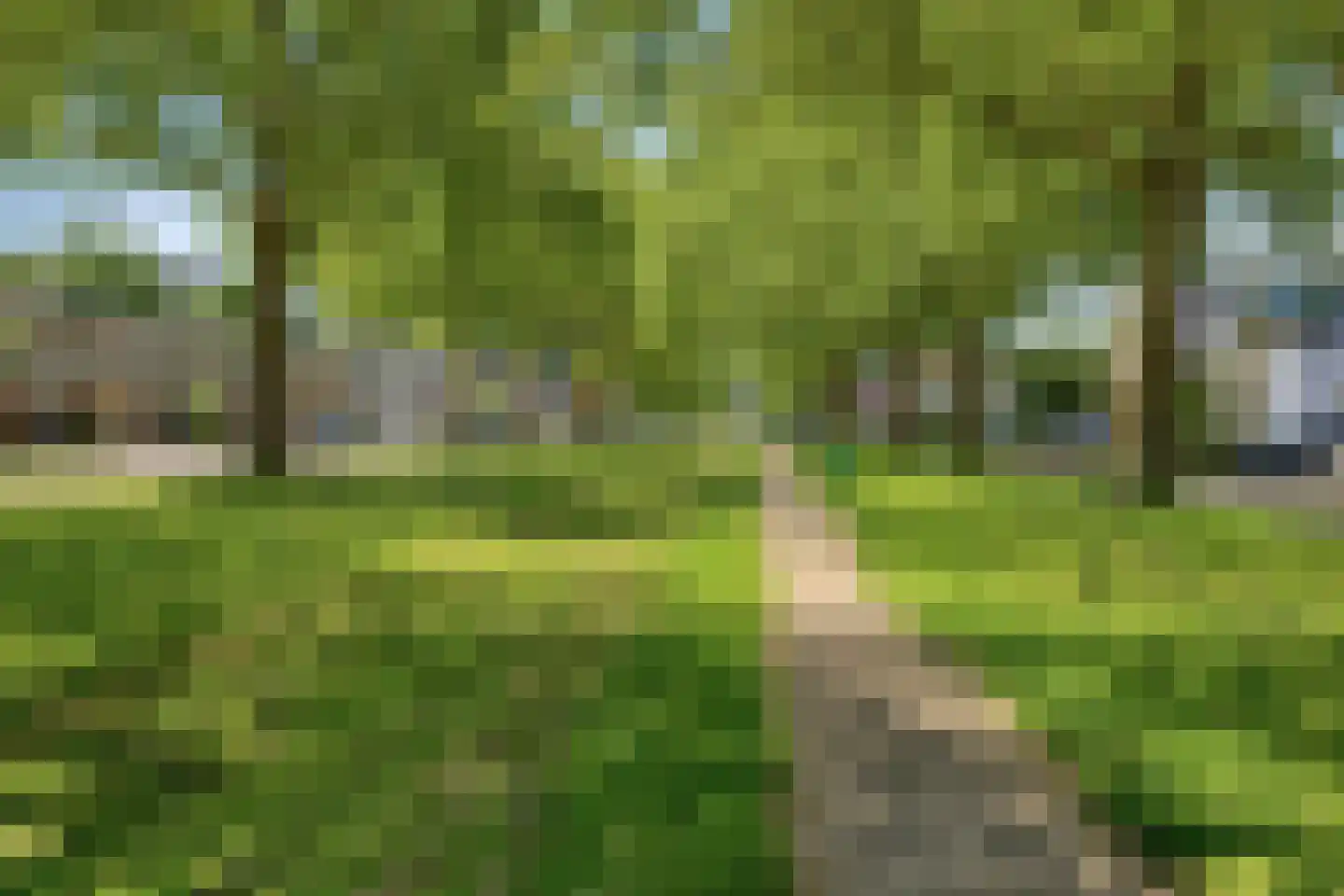 Palestrinastraat 68 Hengelo thumbnail 29
