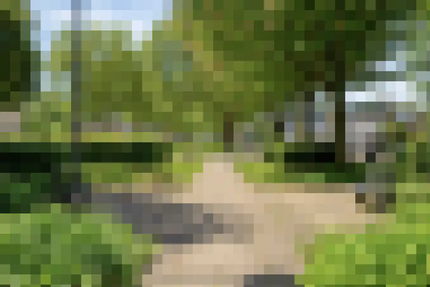 Palestrinastraat 68 Hengelo thumbnail 30