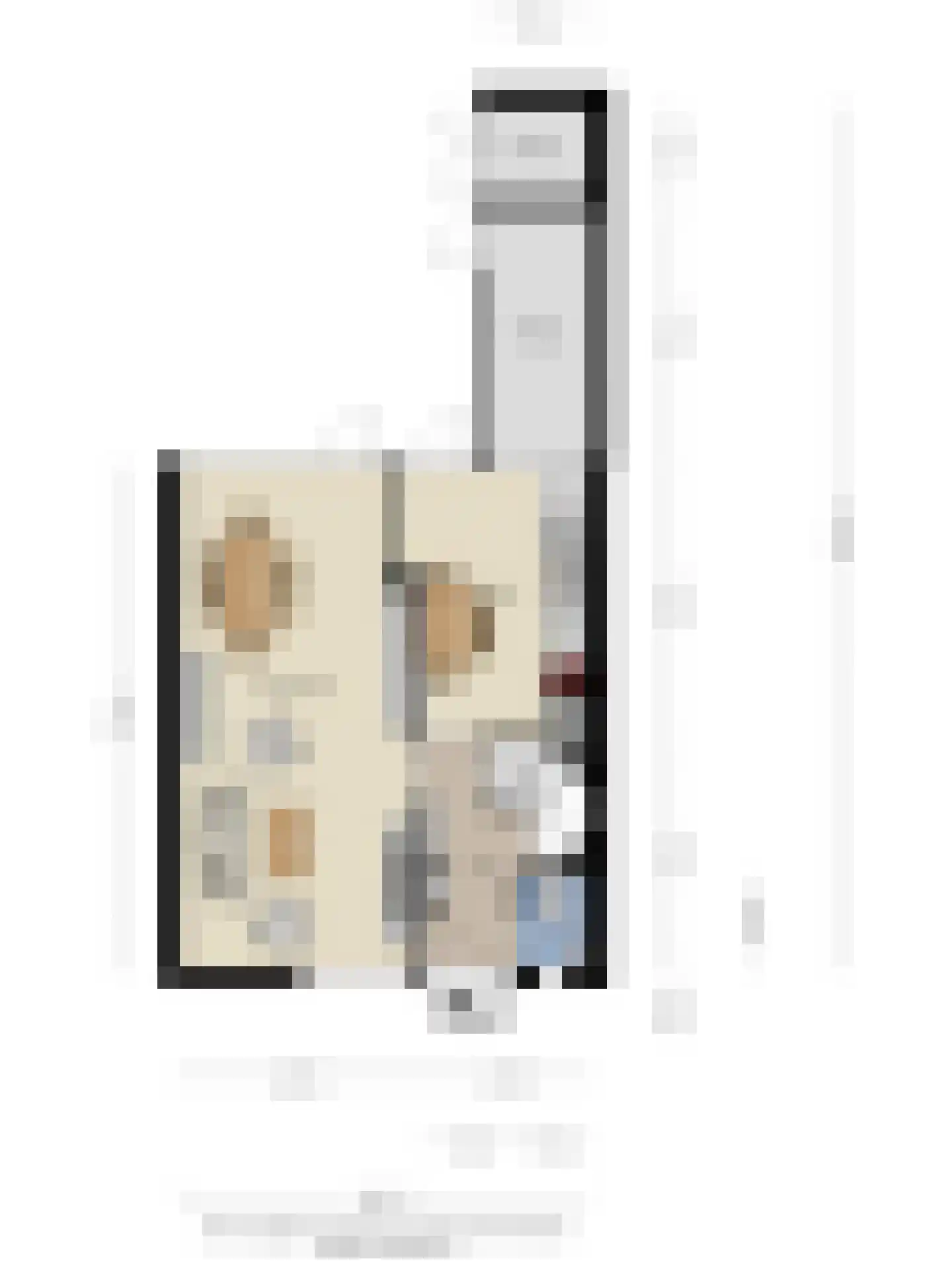 Palestrinastraat 68 Hengelo thumbnail 33