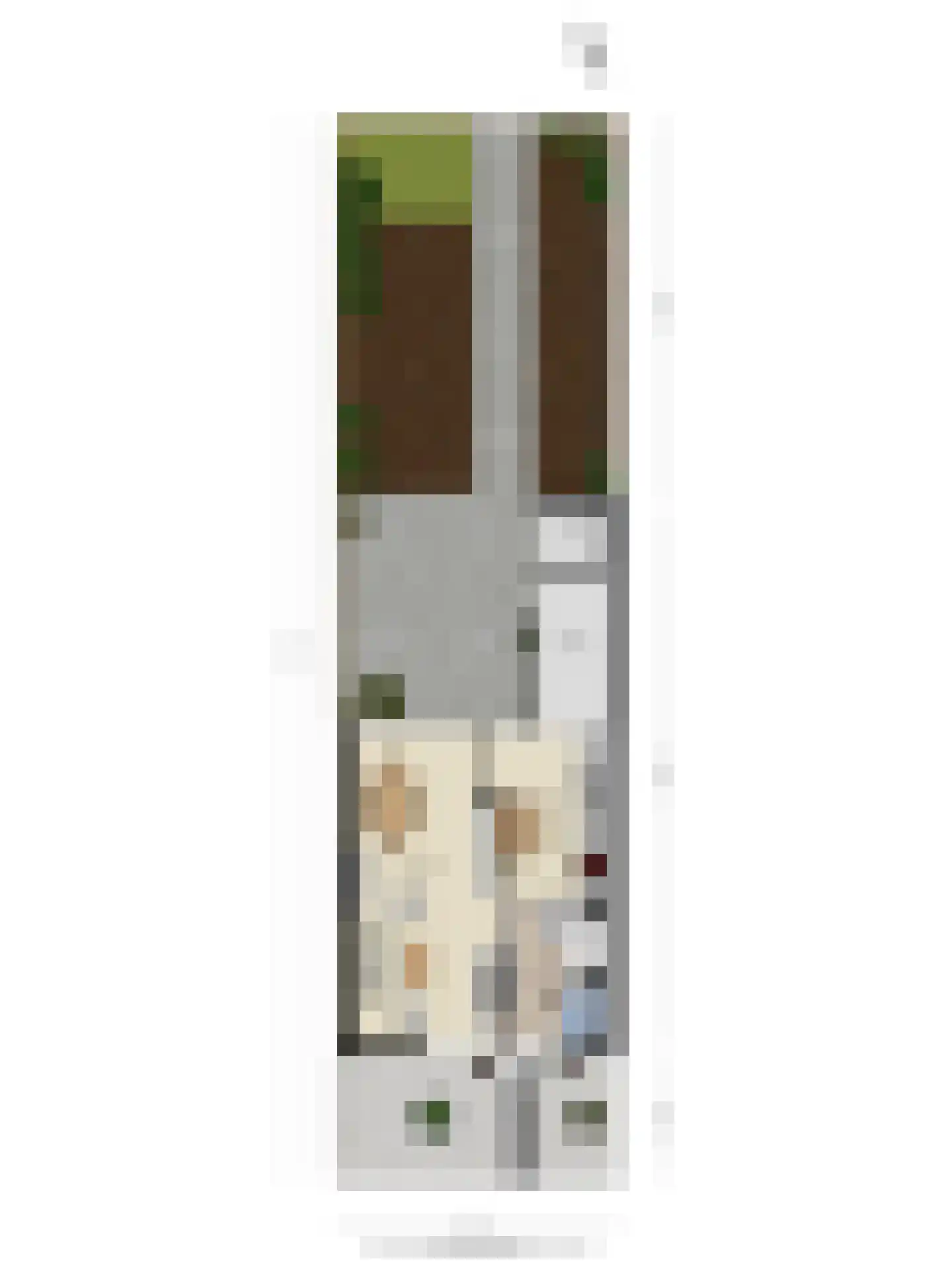 Palestrinastraat 68 Hengelo thumbnail 34