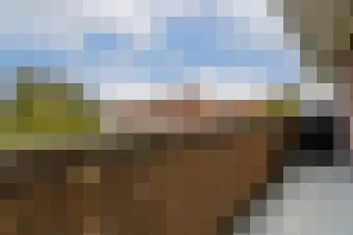 Palestrinaweg 10 Den Haag thumbnail 11