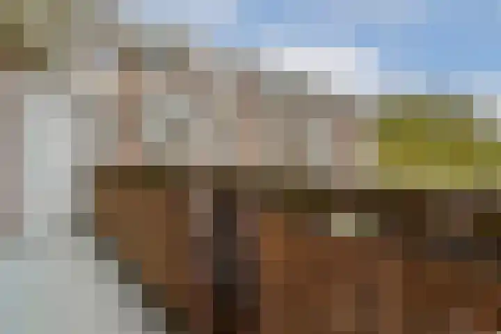 Palestrinaweg 10 Den Haag thumbnail 12