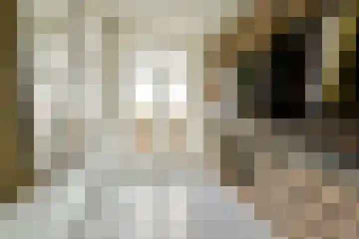 Palestrinaweg 10 Den Haag thumbnail 13