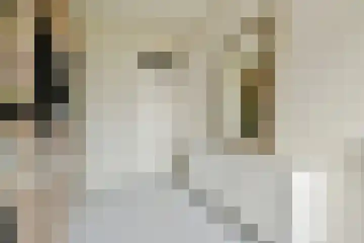 Palestrinaweg 10 Den Haag thumbnail 14