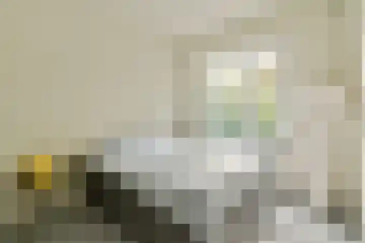 Palestrinaweg 10 Den Haag thumbnail 15