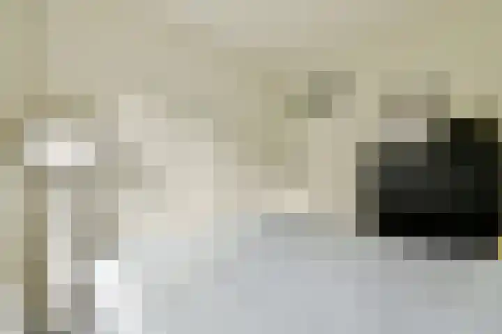 Palestrinaweg 10 Den Haag thumbnail 16
