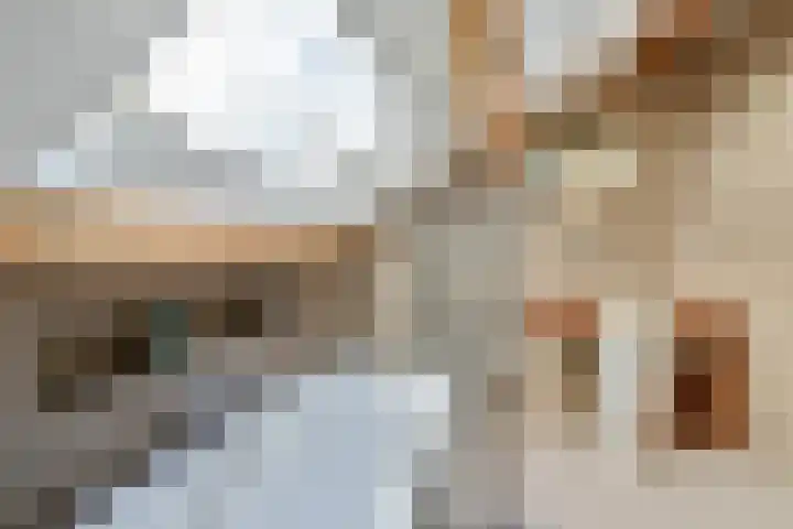 Palestrinaweg 10 Den Haag thumbnail 19