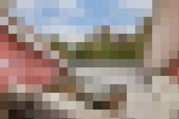 Palestrinaweg 10 Den Haag thumbnail 23