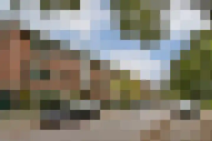 Palestrinaweg 10 Den Haag thumbnail 26