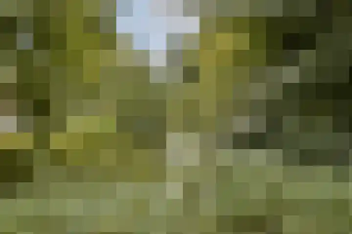 Palestrinaweg 10 Den Haag thumbnail 28