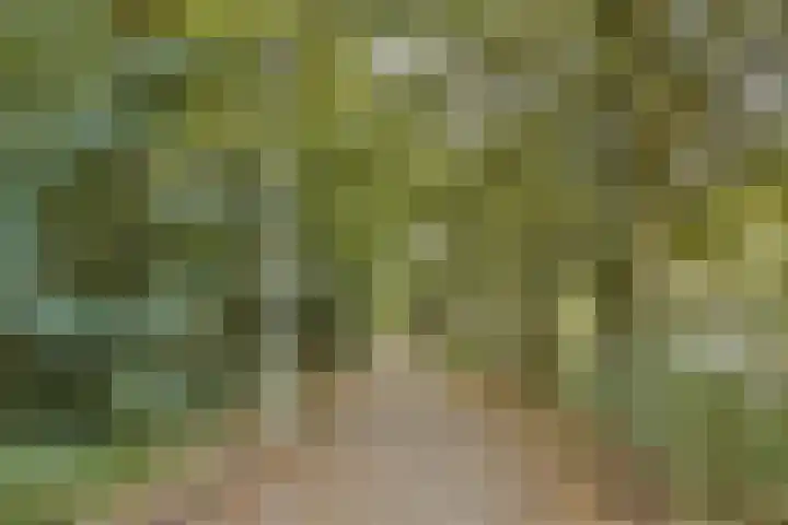 Palestrinaweg 10 Den Haag thumbnail 29