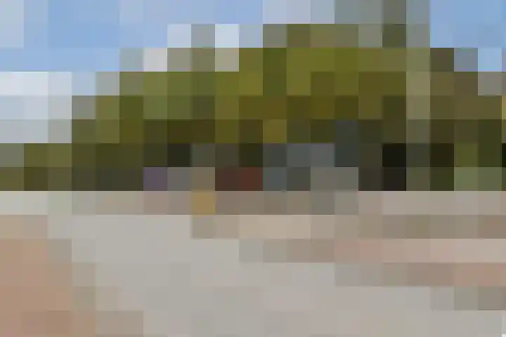 Palestrinaweg 10 Den Haag thumbnail 30