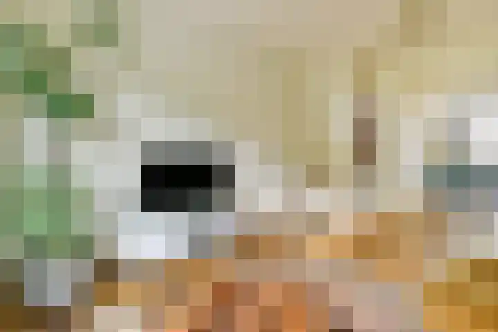 Palestrinaweg 10 Den Haag thumbnail 6