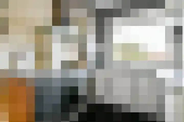 Palestrinaweg 10 Den Haag thumbnail 9