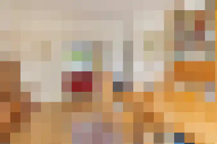 Palestrinaweg 30 Den Haag thumbnail 13