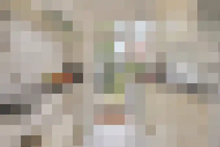 Palestrinaweg 30 Den Haag thumbnail 16