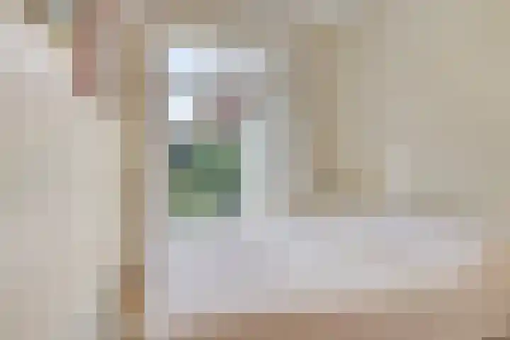 Palestrinaweg 30 Den Haag thumbnail 18