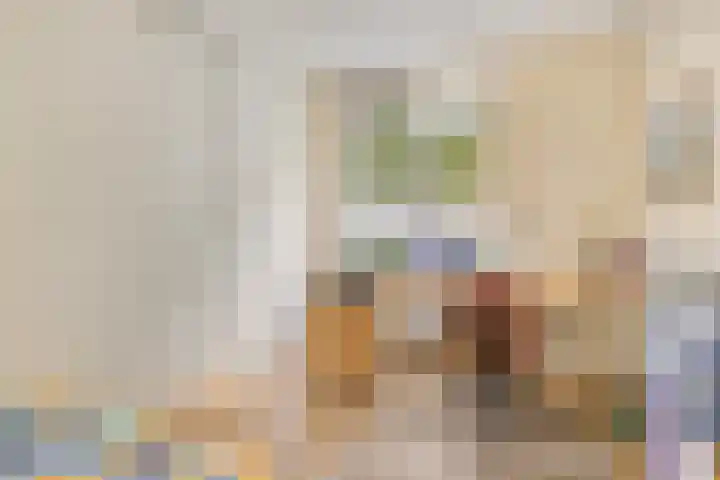 Palestrinaweg 30 Den Haag thumbnail 21