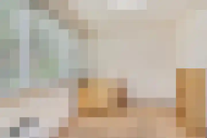 Palestrinaweg 30 Den Haag thumbnail 25