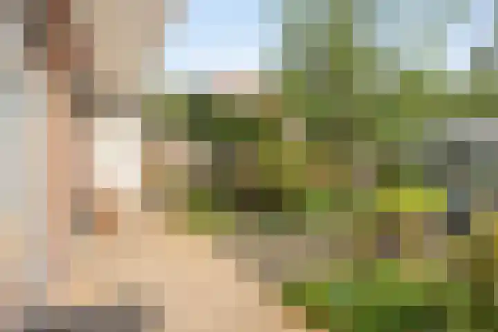 Palestrinaweg 30 Den Haag thumbnail 29