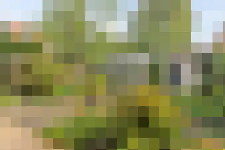 Palestrinaweg 30 Den Haag thumbnail 30