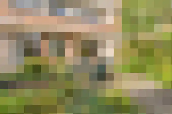Palestrinaweg 30 Den Haag thumbnail 31