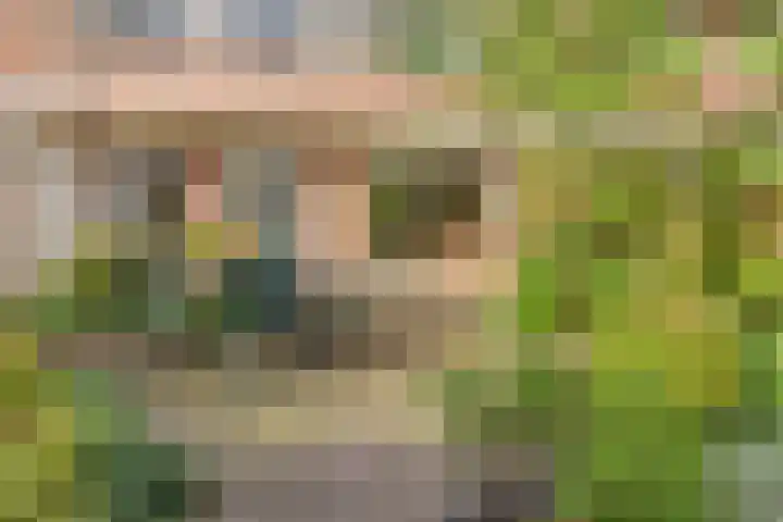 Palestrinaweg 30 Den Haag thumbnail 32