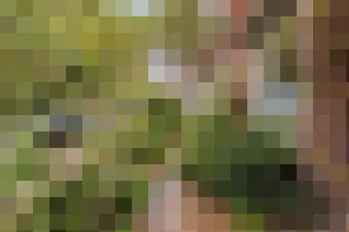 Palestrinaweg 30 Den Haag thumbnail 33
