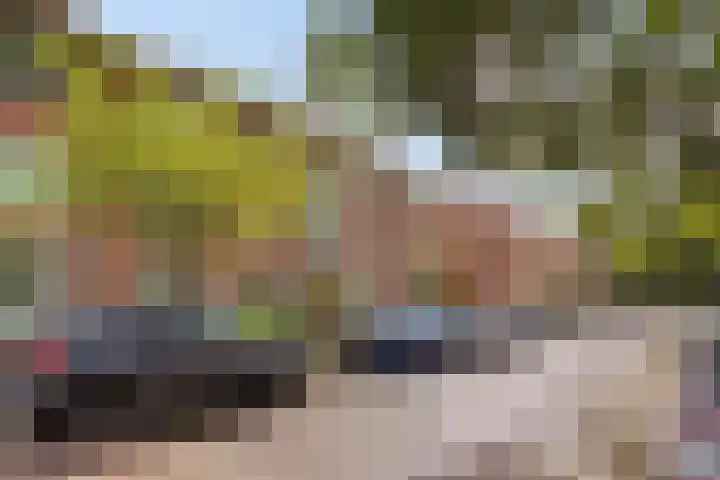 Palestrinaweg 30 Den Haag thumbnail 34