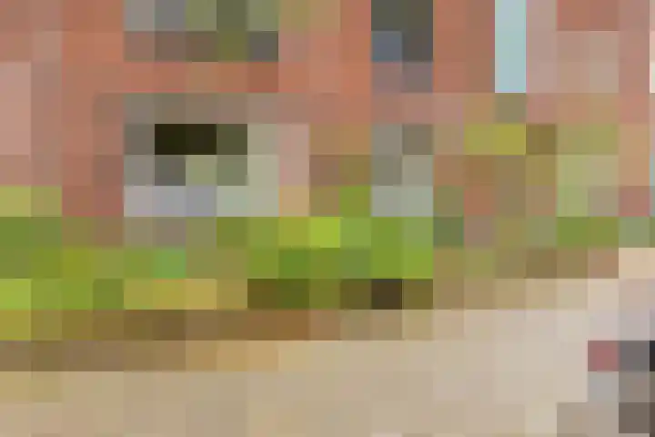 Palestrinaweg 30 Den Haag thumbnail 37