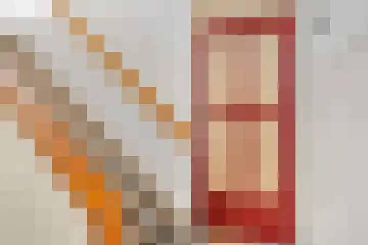 Palestrinaweg 30 Den Haag thumbnail 38