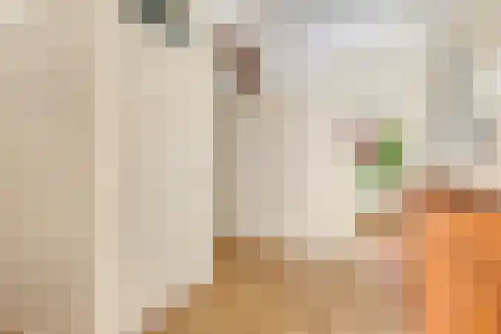 Palestrinaweg 30 Den Haag thumbnail 5